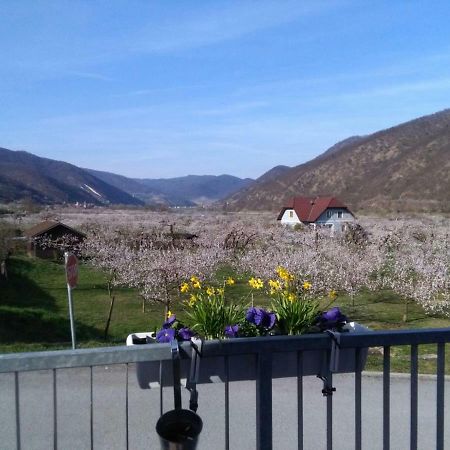 Gasthof Zur Venus Otel Aggsbach Dış mekan fotoğraf