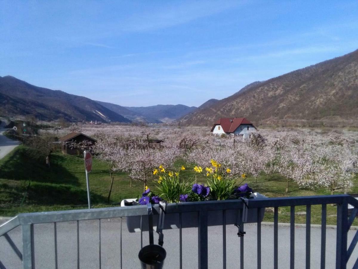 Gasthof Zur Venus Otel Aggsbach Dış mekan fotoğraf